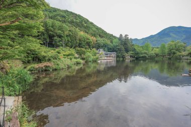 15 Mayıs 2024 Kinrin Gölü nehri, Yufuin japan