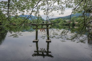 15 Mayıs 2024 Torii Kinrin Gölü Yufuin, Oita, Japonya