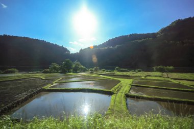 15 Mayıs 2024 Oita kırsalının doğal manzarası.