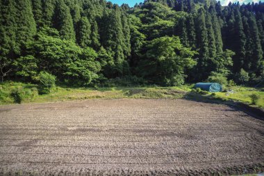 15 Mayıs 2024 Oita kırsalının doğal manzarası.