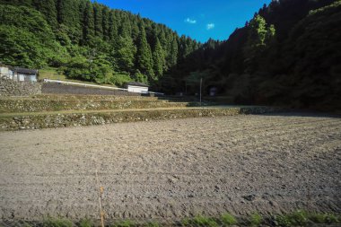 15 Mayıs 2024 'te Oita bölgesinden pitoresk bir kır manzarası