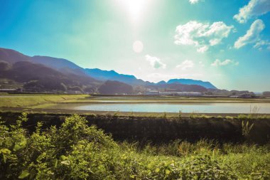 15 Mayıs 2024 'te Oita bölgesinden pitoresk bir kır manzarası