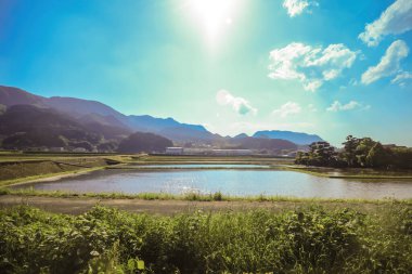 15 Mayıs 2024 'te Oita bölgesinden pitoresk bir kır manzarası