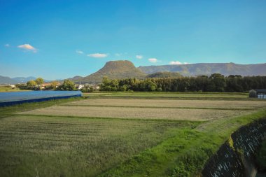 15 Mayıs 2024 'te Oita bölgesinden pitoresk bir kır manzarası