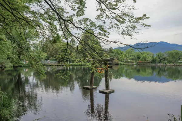 15 Mayıs 2024 Torii Kinrin Gölü Yufuin, Oita, Japonya