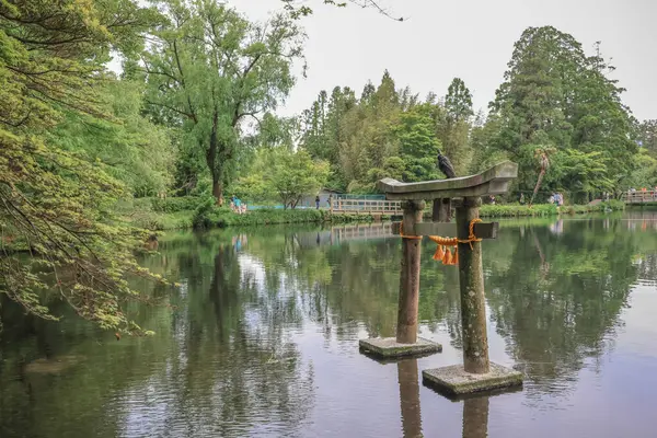 15 Mayıs 2024 Torii Kinrin Gölü Yufuin, Oita, Japonya