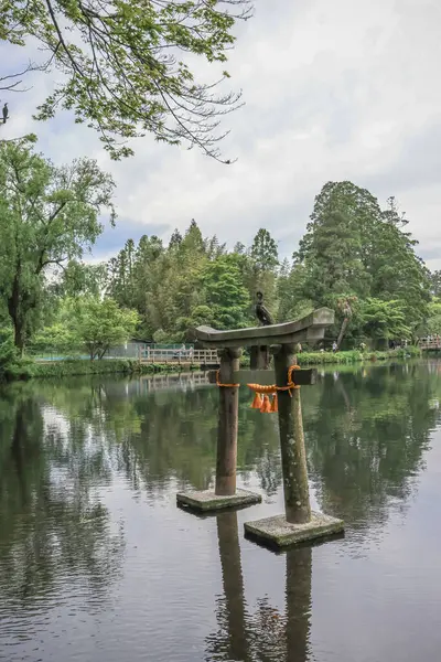 15 Mayıs 2024 Torii Kinrin Gölü Yufuin, Oita, Japonya
