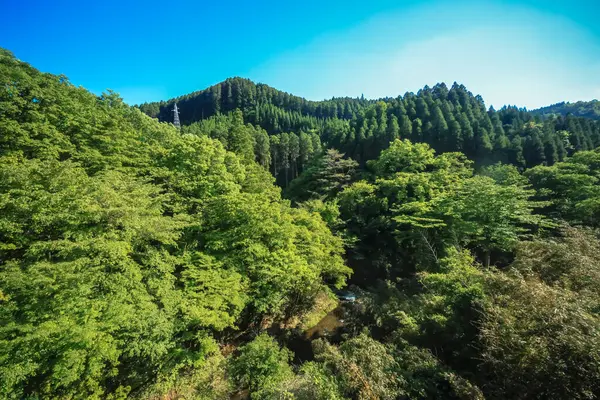 stock image a picturesque countryside scene from the Oita region May 15 2024