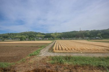 13 Mayıs 2024 Kyushu Manzarası, Demiryolu Trenlerinden Görüş