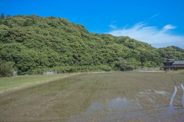 13 Mayıs 2024 Japonya Kırsal Arazisi, Demiryolu Trenlerinden Görüş