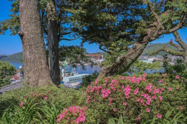 Glover Garden 'ın Huzur Bahçeleri, 14 Mayıs 2024