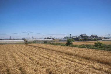 Resimli Rolling Fields, Pastoral Manzaralar Saga Kırsal Bölgesi 14 Mayıs 2024