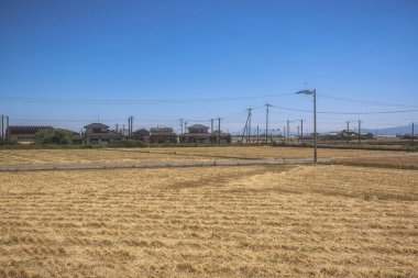 Resimli Rolling Fields, Pastoral Manzaralar Saga Kırsal Bölgesi 14 Mayıs 2024