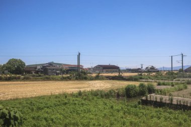 Resimli Rolling Fields, Pastoral Manzaralar Saga Kırsal Bölgesi 14 Mayıs 2024