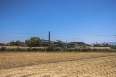 Resimli Rolling Fields, Pastoral Manzaralar Saga Kırsal Bölgesi 14 Mayıs 2024