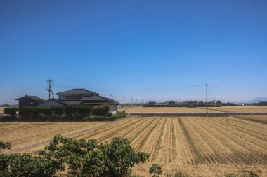 Resimli Rolling Fields, Pastoral Manzaralar Saga Kırsal Bölgesi 14 Mayıs 2024