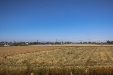 Resimli Rolling Fields, Pastoral Manzaralar Saga Kırsal Bölgesi 14 Mayıs 2024