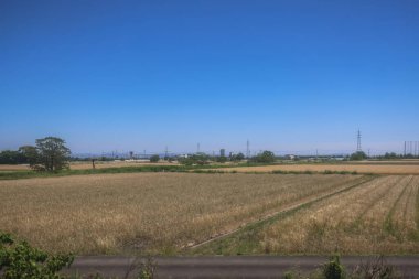 Resimli Rolling Fields, Pastoral Manzaralar Saga Kırsal Bölgesi 14 Mayıs 2024