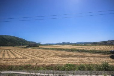 Resimli Rolling Fields, Pastoral Manzaralar Saga Kırsal Bölgesi 14 Mayıs 2024