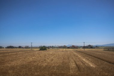 Resimli Rolling Fields, Pastoral Manzaralar Saga Kırsal Bölgesi 14 Mayıs 2024