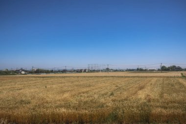 Resimli Rolling Fields, Pastoral Manzaralar Saga Kırsal Bölgesi 14 Mayıs 2024