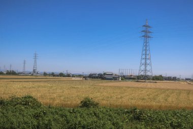 Resimli Rolling Fields, Pastoral Manzaralar Saga Kırsal Bölgesi 14 Mayıs 2024