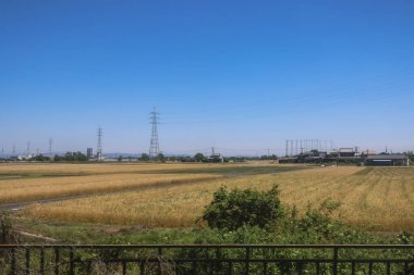 Resimli Rolling Fields, Pastoral Manzaralar Saga Kırsal Bölgesi 14 Mayıs 2024