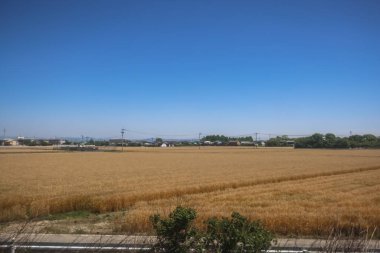 Resimli Rolling Fields, Pastoral Manzaralar Saga Kırsal Bölgesi 14 Mayıs 2024