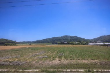 Resimli Rolling Fields, Pastoral Manzaralar Saga Kırsal Bölgesi 14 Mayıs 2024