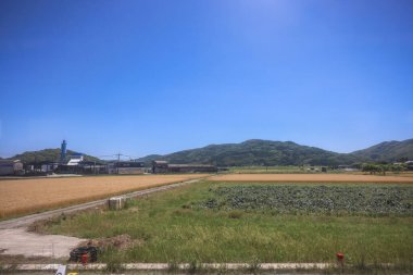 Resimli Rolling Fields, Pastoral Manzaralar Saga Kırsal Bölgesi 14 Mayıs 2024