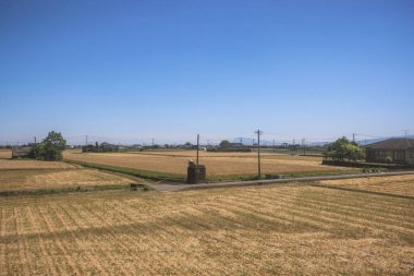 Resimli Rolling Fields, Pastoral Manzaralar Saga Kırsal Bölgesi 14 Mayıs 2024