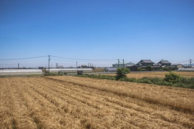 Resimli Rolling Fields, Pastoral Manzaralar Saga Kırsal Bölgesi 14 Mayıs 2024