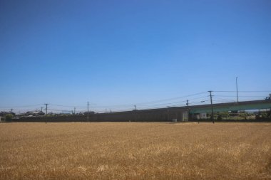 Resimli Rolling Fields, Pastoral Manzaralar Saga Kırsal Bölgesi 14 Mayıs 2024