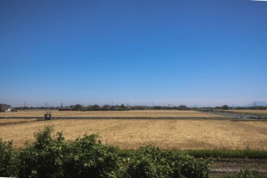 Resimli Rolling Fields, Pastoral Manzaralar Saga Kırsal Bölgesi 14 Mayıs 2024