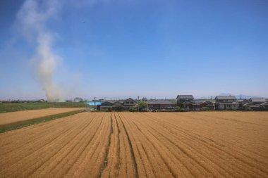Resimli Rolling Fields, Pastoral Manzaralar Saga Kırsal Bölgesi 14 Mayıs 2024