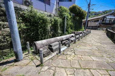 14 Mayıs 2024 'te Sanno Shrin' de bir bacak.