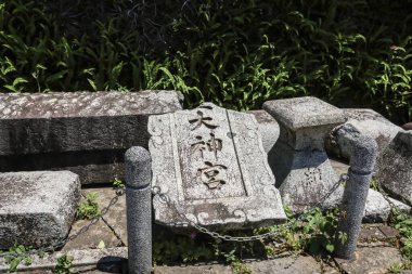 14 Mayıs 2024 'te Sanno Shrin' de bir bacak.