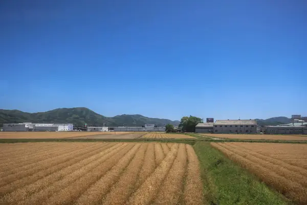 Stock image Picturesque Rolling Fields, Pastoral Landscapes at Saga Countryside May 14 2024