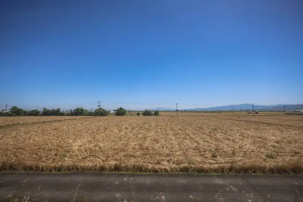 stock image Picturesque Rolling Fields, Pastoral Landscapes at Saga Countryside May 14 2024