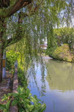 a bird of heron at the Yanagawa crane clipart