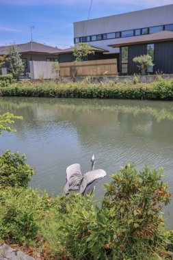 a bird of heron at the Yanagawa crane clipart