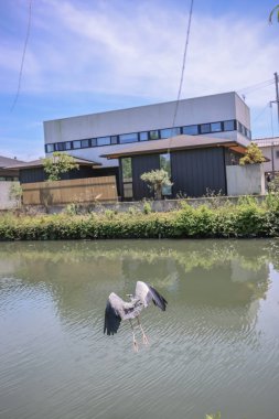 a bird of heron at the Yanagawa crane clipart