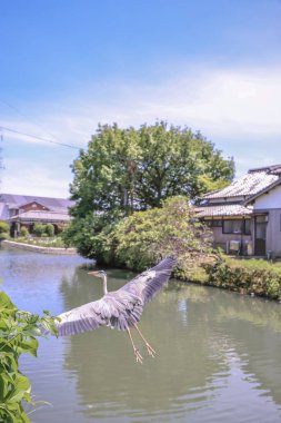 Fukuoka Bölgesi, Yanagawa 'da 17 Mayıs 2024' te kuruldu.