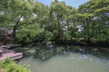 17 Mayıs 2024 Yanagawa Kanko Kaihat nehri.