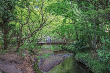 15 Mayıs 2024 Yufuin 'de Huzur Riverside Nagasaki' den Serene Firar