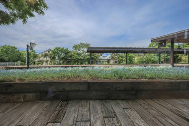 15 Mayıs 2024 Yufuin Konut Alanı, Nagasaki 'nin Kırsalına Bir Bakış