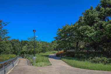 Kowloon, 3 Ağustos 2024 Lai Chi Kok Parkı manzarası