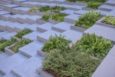 Kowloon, 3 Ağustos 2024 Kare Piramitler Bahçesi