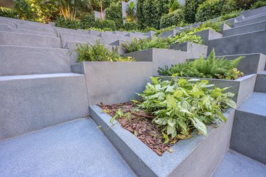 Kowloon, 3 Ağustos 2024 Kare Piramitler Bahçesi