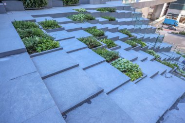 Kowloon, 3 Ağustos 2024 Kare Piramitler Bahçesi